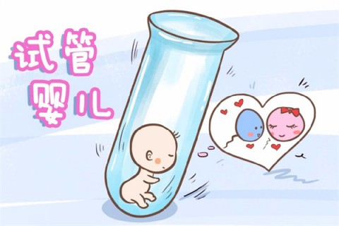 http://weifang.51dzb.net/post/212.html|潍坊新闻中心